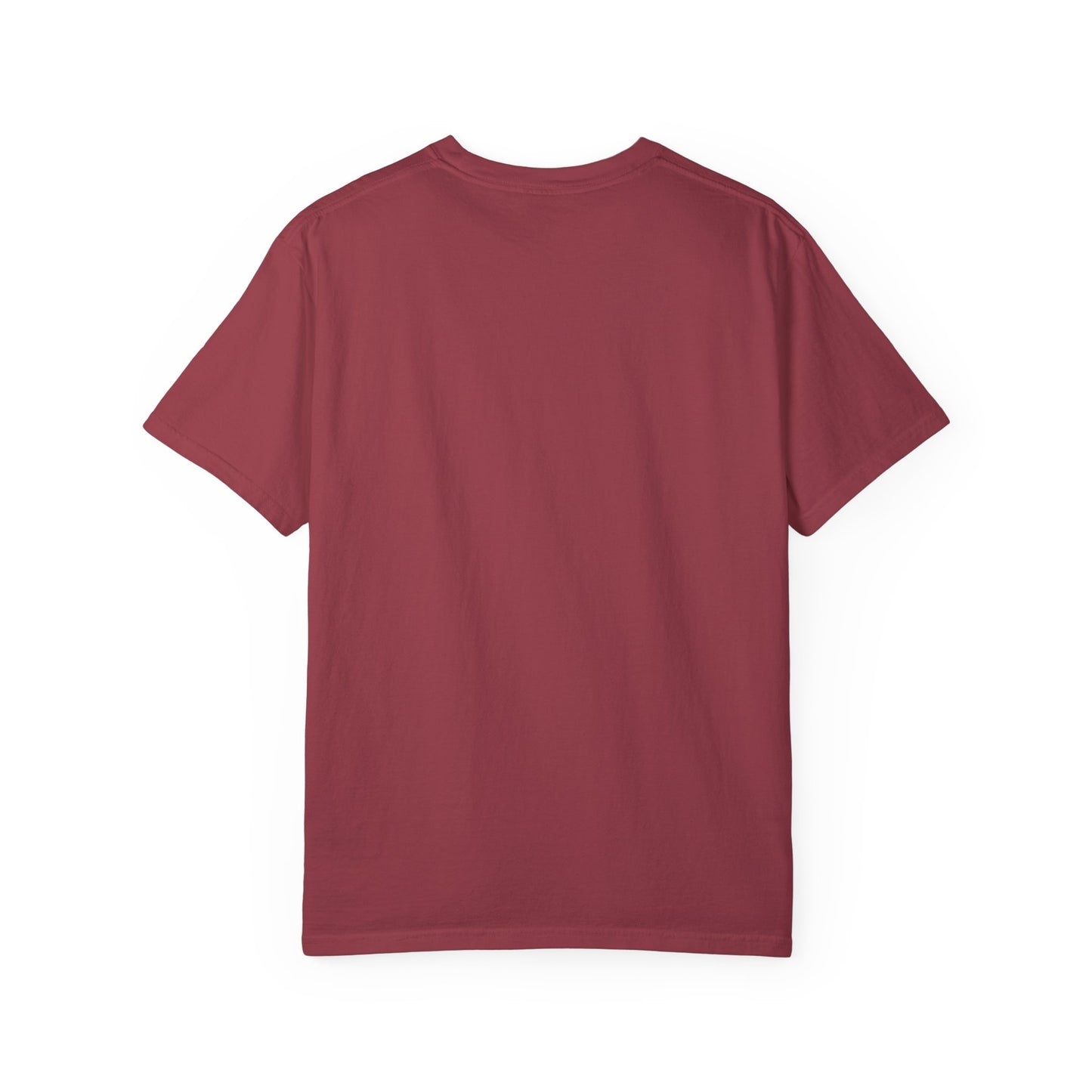 PICKLEBALL ACE Unisex Garment-Dyed T-shirt