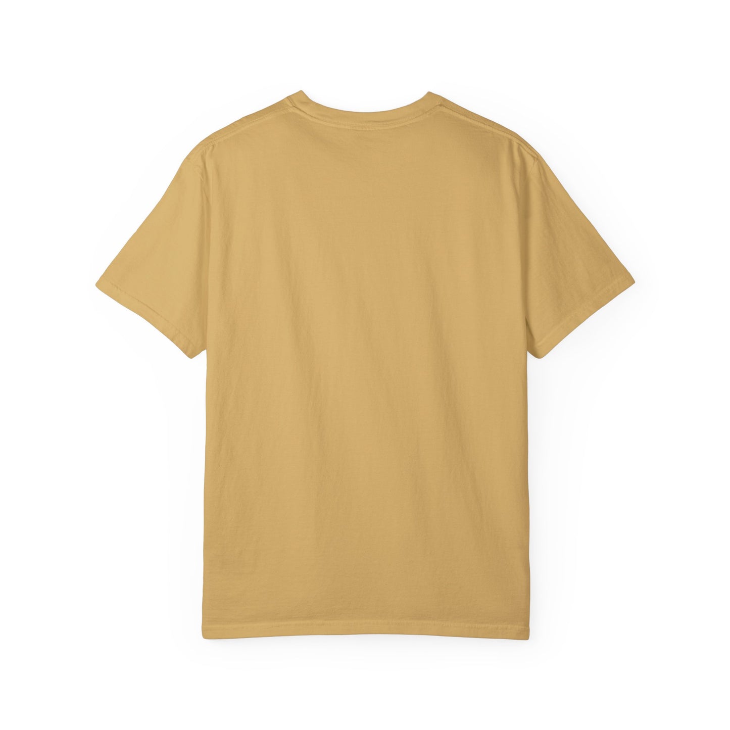 PICKLEBALL ACE Unisex Garment-Dyed T-shirt